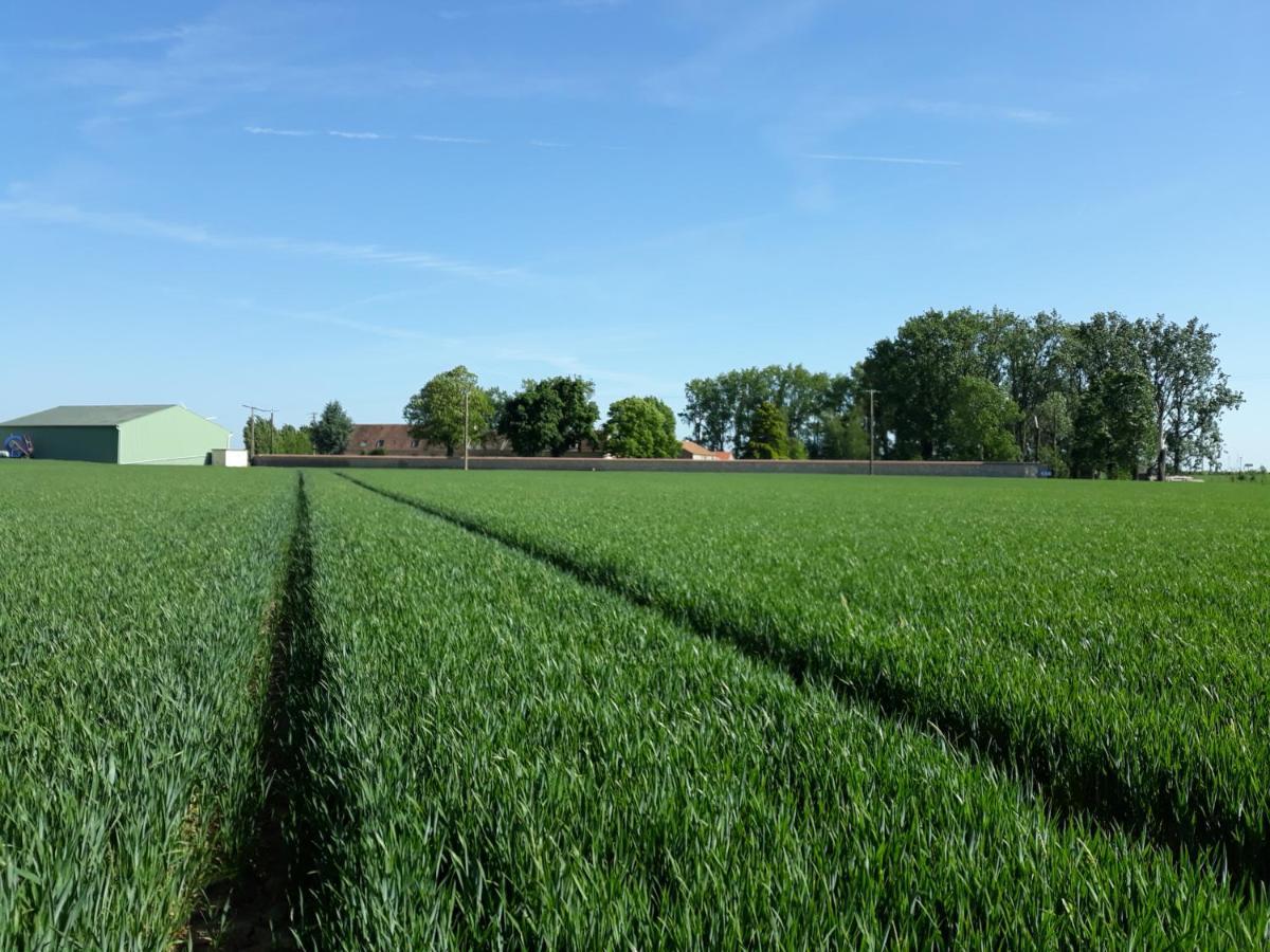Ferme de Mesangeon Villa Beauvilliers  Exterior foto